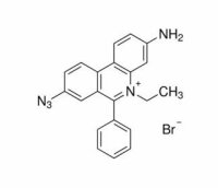 Ethidium bromide solution 1%