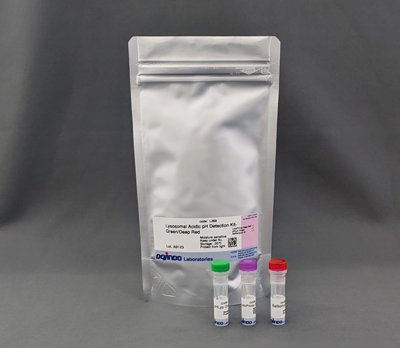 Lysosomal Acidic pH Detection Kit Green/Deep Red