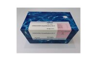 GSSG/GSH Quantification Kit II