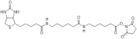 Biotin-(AC5)2-OSU