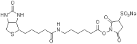 Biotin AC5-Sulfo-OSU