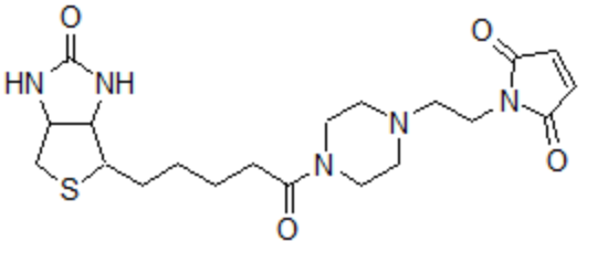 Biotin-PE-maleimide