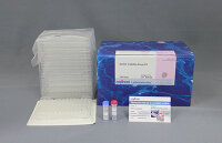 Biofilm Viability Assay Kit