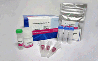 Fluorescein Labeling Kit-NH2
