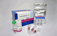 Biotin Labeling Kit-NH2