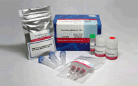 Peroxidase Labeling Kit-NH2