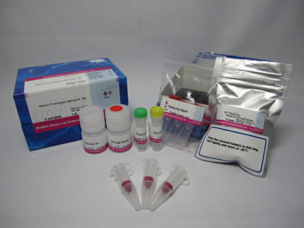 Alkaline Phosphatase Labeling Kit-SH
