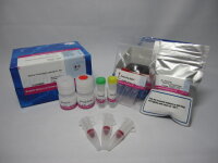 Alkaline Phosphatase Labeling Kit-SH