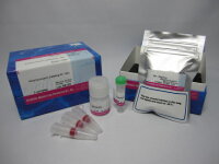 Allophycocyanin Labeling Kit-NH2