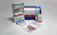 R-Phycoerythrin Labeling Kit-NH2