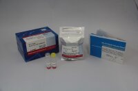 Ab-10 Rapid HiLyte Fluor 647 Labeling Kit