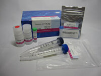 Peroxidase Labeling Kit-NH2 (for 1 mg)