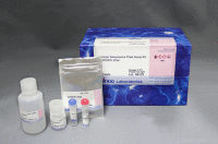 Cellular Senescence Plate Assay Kit - SPiDER-beta-Gal