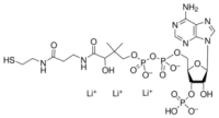 Acetyl CoA, Trilithium Salz