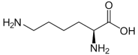 L-Lysine hydrate, 100g